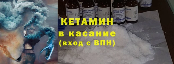 шишки Ельня