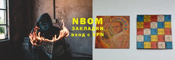 шишки Ельня