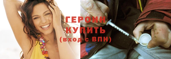 шишки Ельня