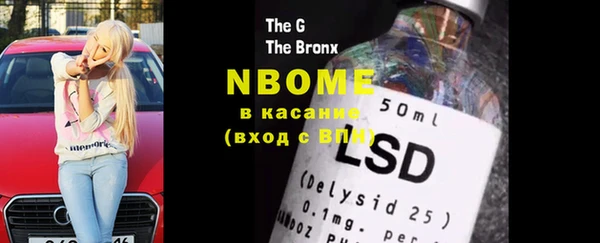 шишки Ельня