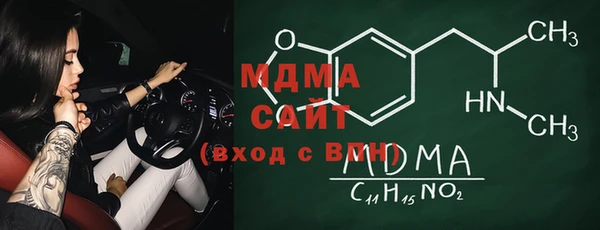 шишки Ельня