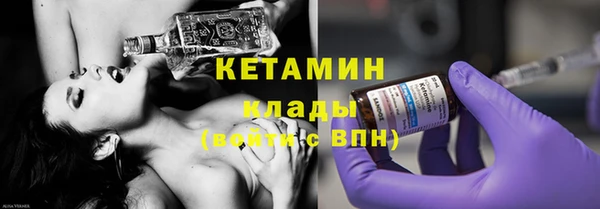 шишки Ельня