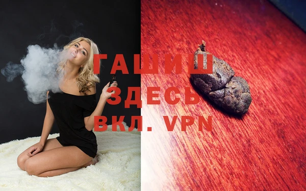 шишки Ельня