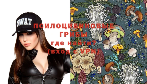 трава Елизово
