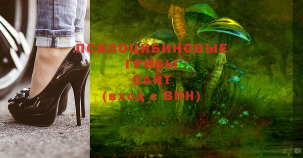 трава Елизово