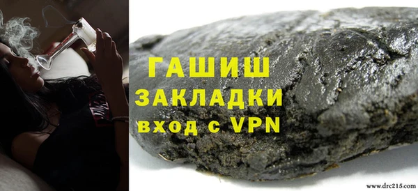 шишки Ельня
