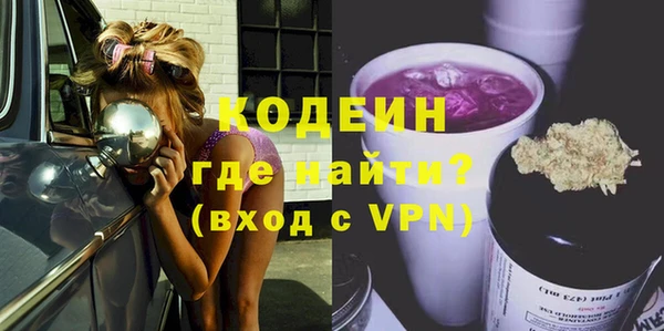 шишки Ельня