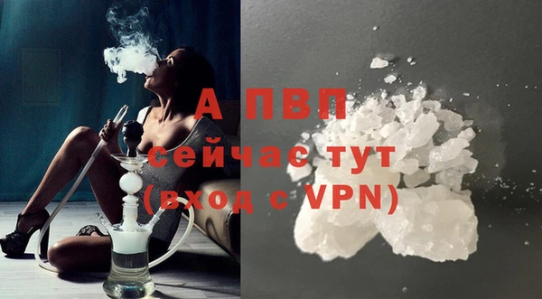 шишки Ельня