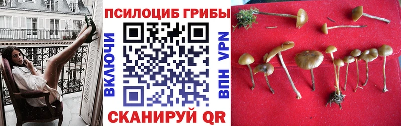 Галлюциногенные грибы Magic Shrooms  Саяногорск 
