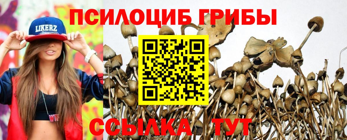 Галлюциногенные грибы мухоморы  Вход с VPN  Саяногорск 