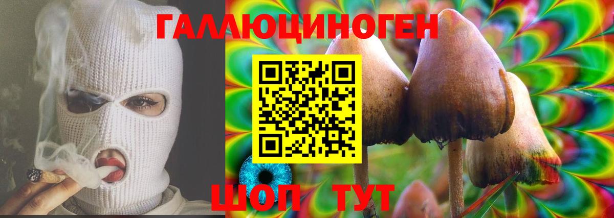 Галлюциногенные грибы ЛСД Саяногорск